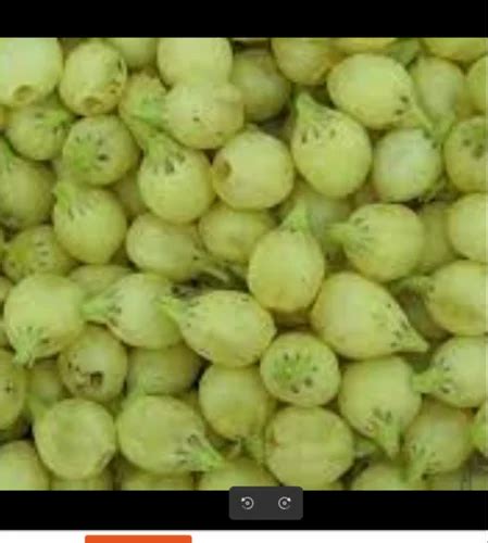 Mahua Flower 2 at Rs 58/kg | Raigarh | ID: 2852107464430