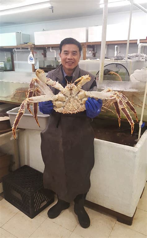 Live King Crab | OM Seafood Company