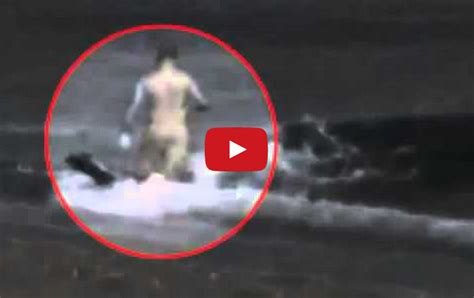 Killer Whale Attacks Man On Beach - WARNING: Graphic