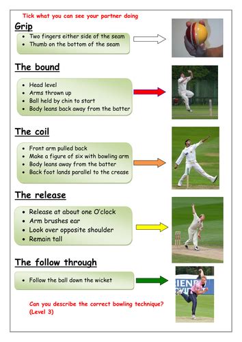 Overarm Cricket bowling technique | Teaching Resources