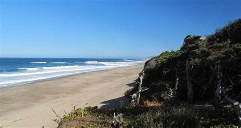 Gleneden Beach State Park | Best places to camp, Gleneden beach, Oregon ...