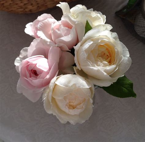 My English rose bouquet | Rose bouquet, English roses, Rose