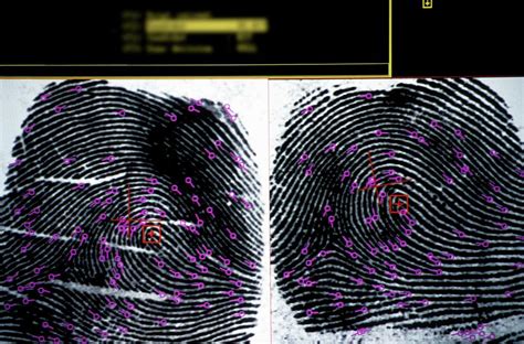 Fingerprint Analysis Photograph by Patrick Landmann/science Photo Library | Fine Art America