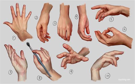 Hands Reference Drawing at GetDrawings | Free download