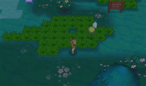 Pokémon Omega Ruby and Alpha Sapphire Walkthrough, Part One: Choosing a ...