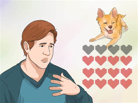 How to Take Care of a Teacup Chihuahua (with Pictures) - wikiHow