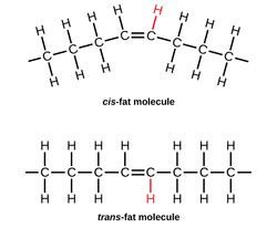 Trans Fat - FATS