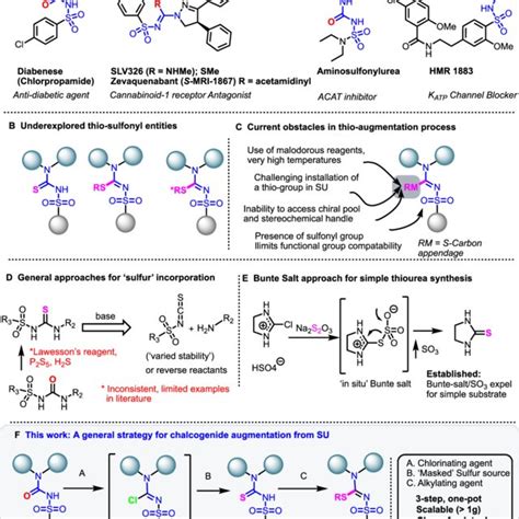 Background of sulfonylurea motifs and chalcogenide sulfonylurea ...