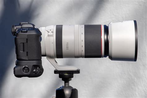 Canon RF100-500 F4.5-7.1 L Lens Review: The Wildlife Photographer’s Pro Superzoom — Oxbow ...