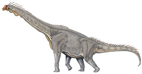 File:Brachiosaurus DB.jpg - Wikimedia Commons