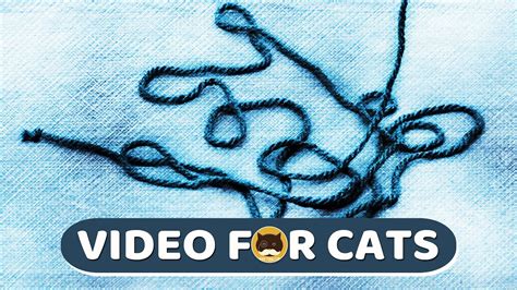 CAT GAMES - Yarn Strings. Videos for Cats | CAT TV | 1 Hour. - YouTube