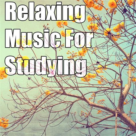 Relaxing Music For Studying Spotify Playlist