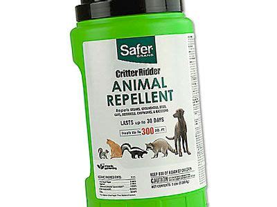 Best 10 Groundhog Repellents and Deterrents (*2020 *) Expert Review in ...