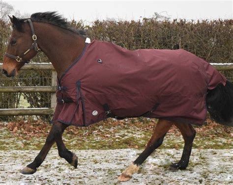 Discover top lightweight turnout rugs for horses this spring ...