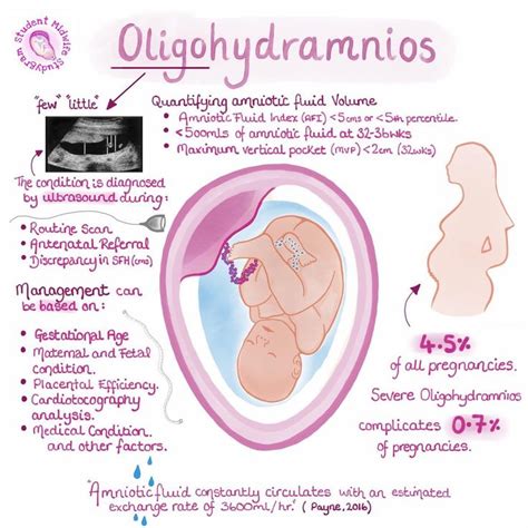 Oligohydramnios | Nurse study notes, Nursing notes, Nursing school survival