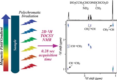 Principles and Features of Single-Scan Two-Dimensional NMR Spectroscopy ...