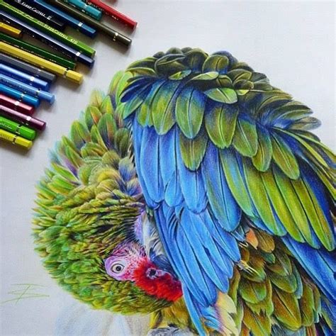 List Of Drawing With Colored Pencils Techniques References - Chic Fit