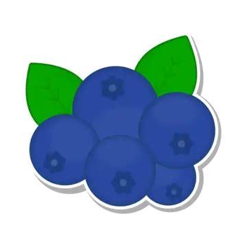 Blueberry Sticker Vector Illustration, Blueberry, Blueberry Fruit, Blueberry Sticker PNG and ...