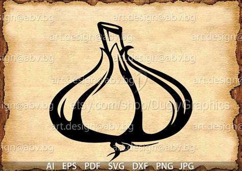 Vector GARLIC drawing ai epspdf png dxf svg jpg Image | Etsy