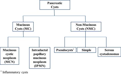 Classification of pancreatic cysts. | Download Scientific Diagram