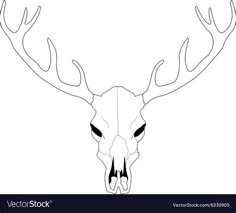 Deer skull line art Royalty Free Vector Image - VectorStock