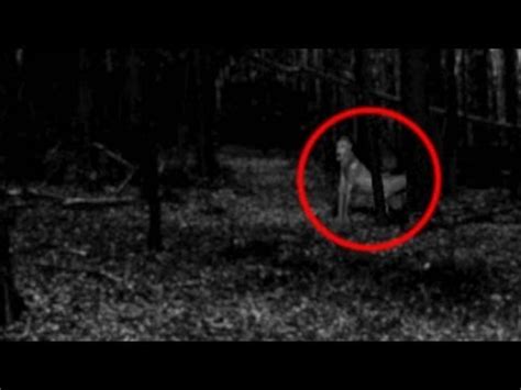 Witches Demons Ghosts And Fright Caught On Tape Part 2 Ghosts Witches ...