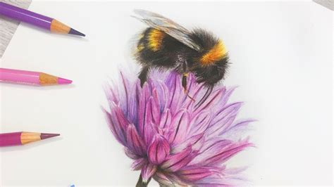 How To Draw a BEE and Flower in COLORED PENCIL - YouTube