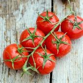 Large Red Cherry Tomato, Large Red Cherry Tomato Seeds - Reimer Seeds