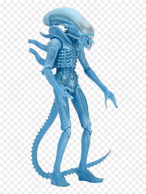 Download Warrior Alien Kenner Action Figure - Neca Blue Alien Warrior ...