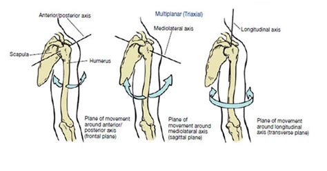 Axis of Rotation