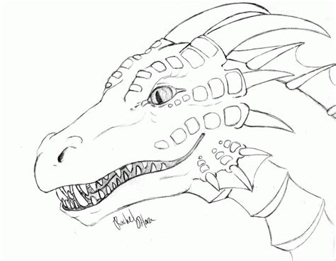 Realistic Dragon Coloring Pages For Adults - Coloring Home