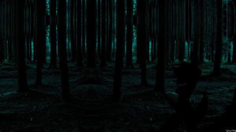 Dark Forest Background With Moon, Dark Anime Forest HD wallpaper | Pxfuel