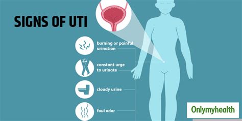 What Is Urinary Tract Infection (UTI)? Here Are Its Causes, Symptoms, Treatment And Preventive ...