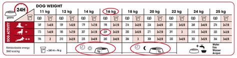 Royal Canin Maxi Puppy Food Feeding Chart - Puppy And Pets