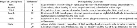 Larval development stages of coonstripe shrimp, Pandalus danae (from ...