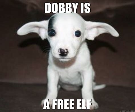 Master Has Given Dobby A Sock Meme