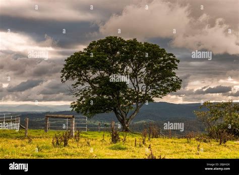 Maleny hinterland hi-res stock photography and images - Alamy