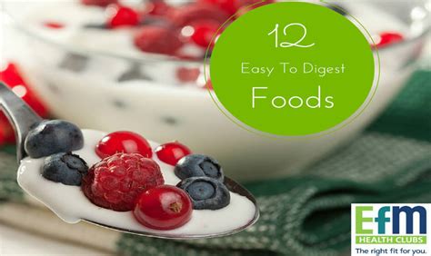 Digestion Issues? Try These 12 Easy-to-Digest Foods - EFM Health Clubs