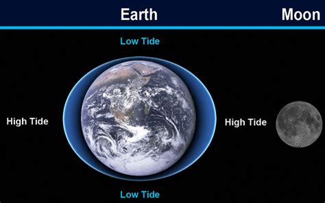 reality check - Tidal forces of tidally locked moon orbiting a gas ...