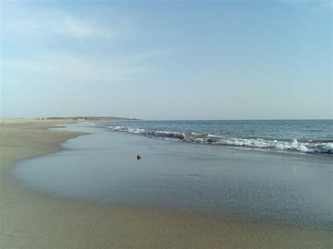 Commercialized Beach - Somnath Beach, Somnath Traveller Reviews - Tripadvisor