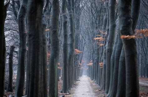 DE HOGE VELUWE NATIONAL PARK, NETHERLANDS