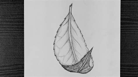 how to draw a leaf with shading - Georgianne Salley