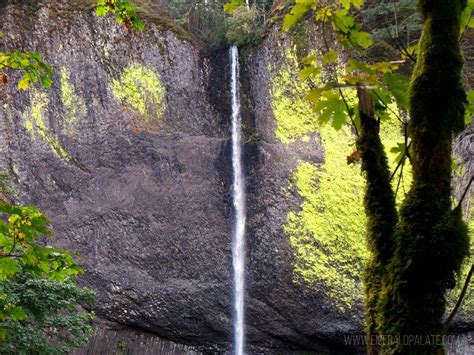 The Definitive Columbia River Gorge Waterfalls Map - The Emerald Palate