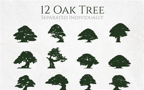 Artistic Big Oak Tree Silhouette Set - TemplateMonster