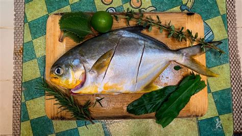 Best Tasting Fish! Pompano Catch And Cook Ep22 - YouTube