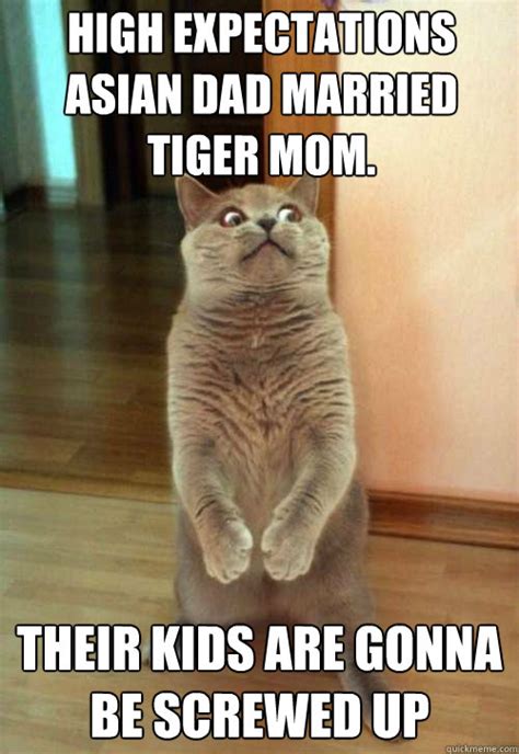 Tiger mom Memes