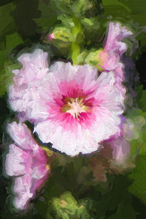 Hollyhock Flower Digital Art by Roy Pedersen