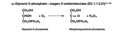 glycerophosphate