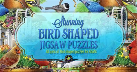 Bird Puzzles • Jigsaw Puzzles For Adults