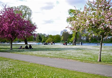 Regent's Park, Royal Parks 10K - September 2020 - 10k in London, UK — Let’s Do This